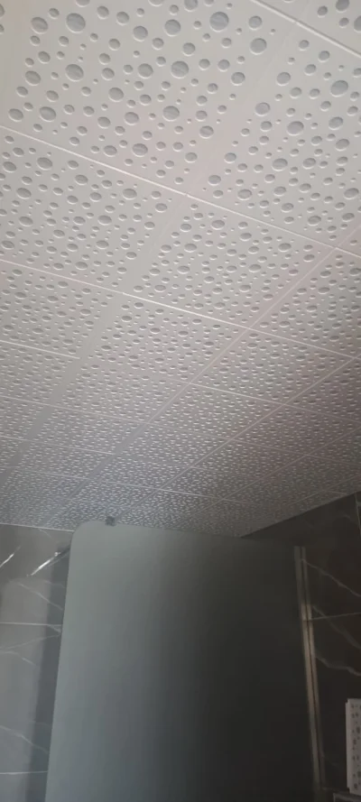 Banyo ve WC Asma Tavan